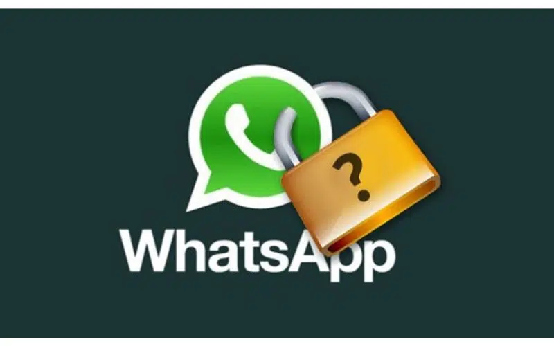 گوگل شماره تلفن کاربران WhatsApp را ایندکس می‌کند