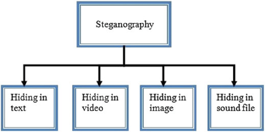 Steganography چیست