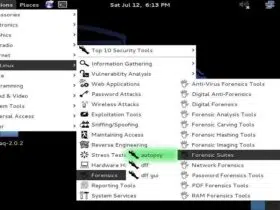 فارنزیک با استفاده از کالی لینوکس