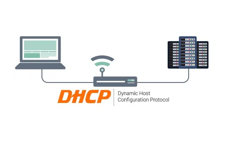 DHCP protocol