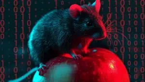 RAT(Remote Access Trojan)