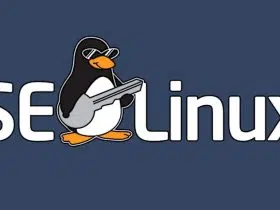 SElinux