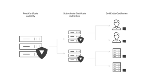 PKI