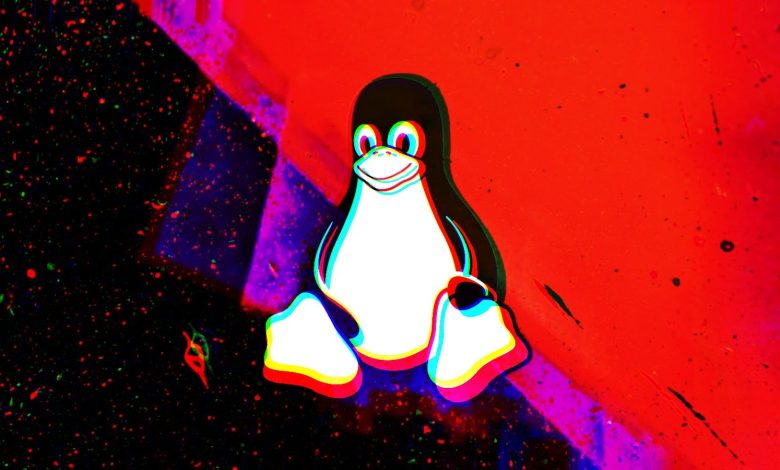 بدافزار جدید Plague در سیستمهای Linux بهصورت مخفیانه دسترسی SSH را حفظ میکند.